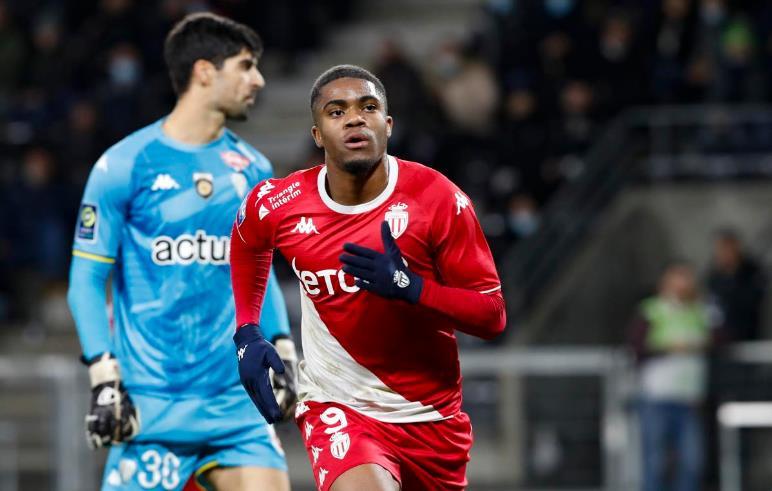 坛近年涌现 坛近年涌现